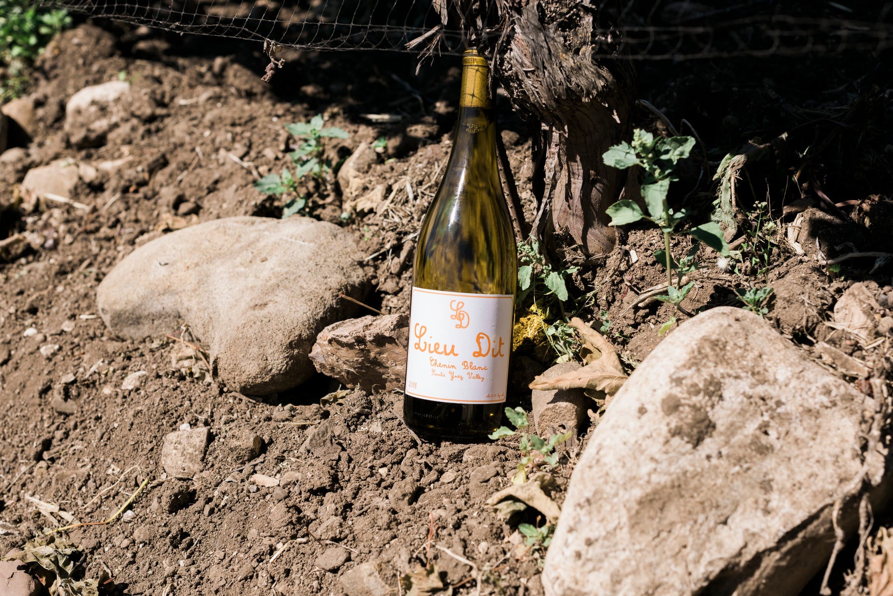 nc Teaching Winery 2016 デザートワイン 375ml レア 2016 Chenin Blanc (1.5L Magnum) – Lieu Dit Winery